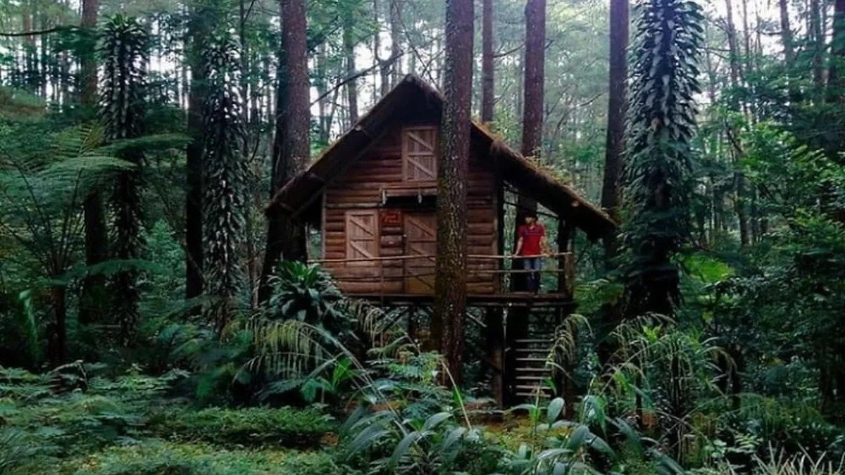 Rumah pohon sederhana tanpa listrik di Taman Buru Cicalengka Bandung dikelilingi hutan yang rimbun