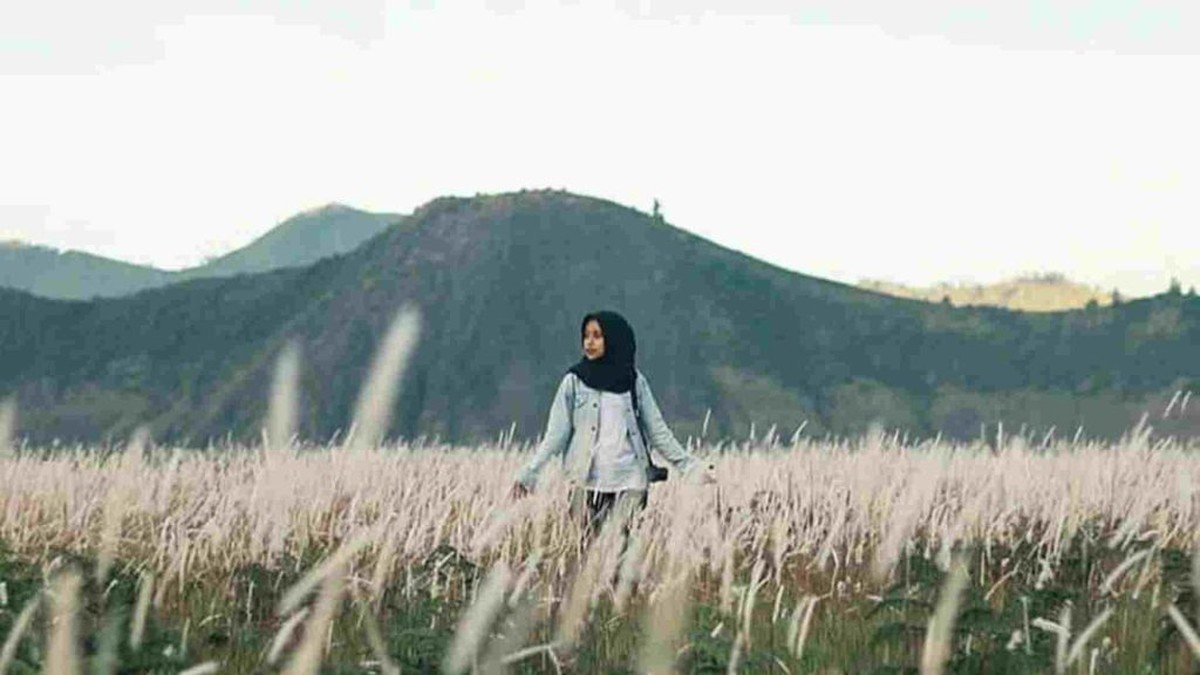 Padang Savana Bromo atau Bukit Teletubbies dengan hamparan ilalang hijau berkabut