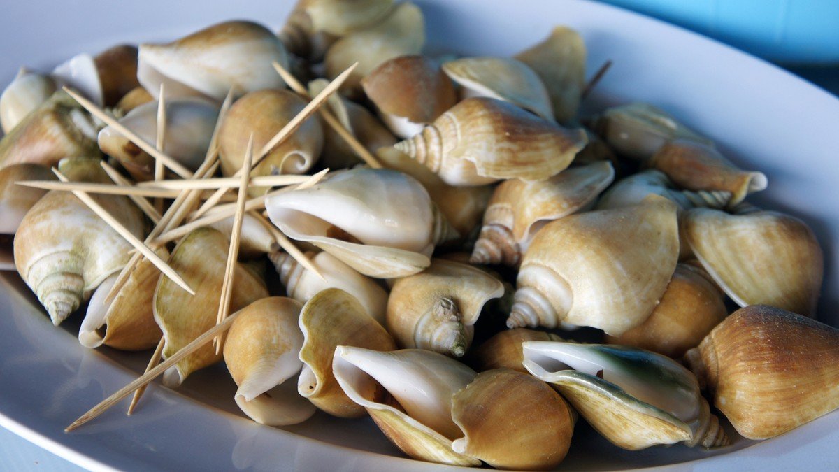 Gonggong, siput laut khas Kepulauan Riau yang jadi makanan khas Batam paling ikonik, disajikan dengan sambal